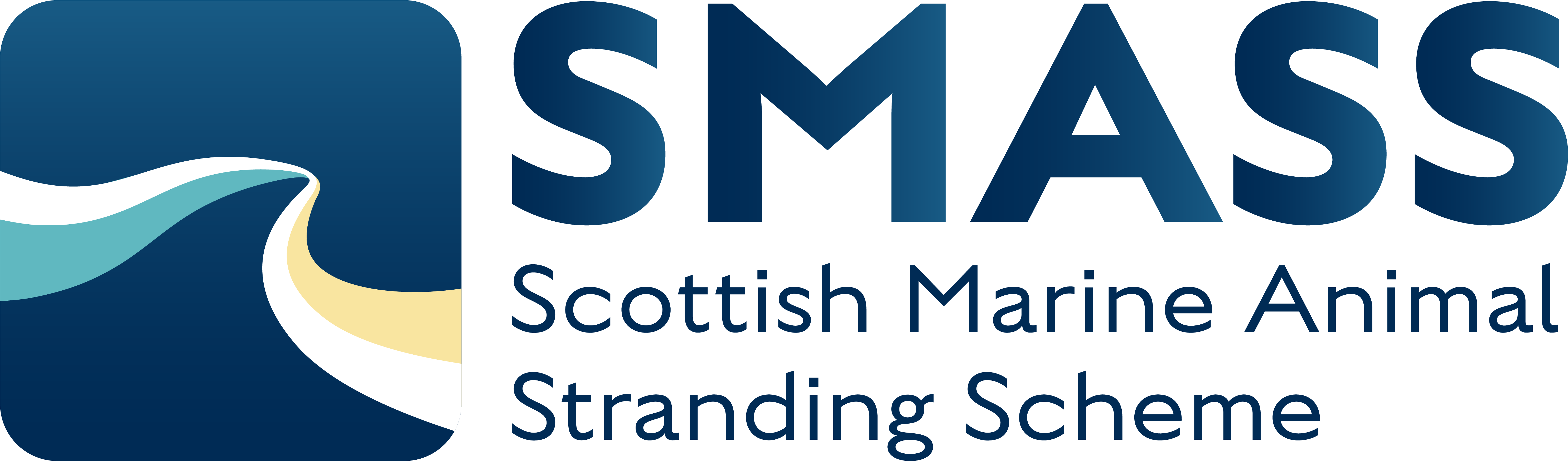 SMASS Logo